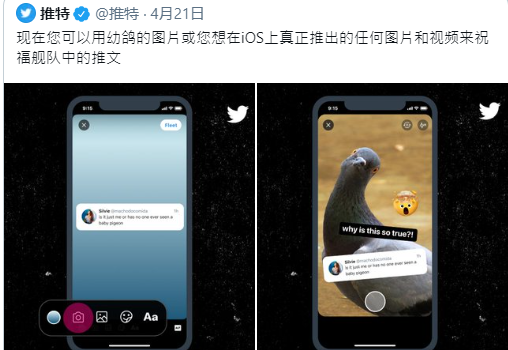 Twitter 4K图像支持安卓和iOS客户端，从此您的手机将会更慢……….