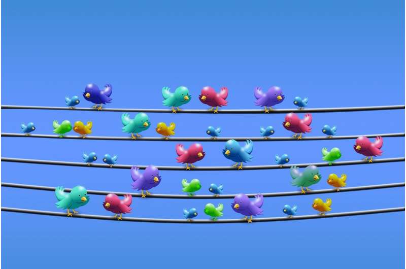 2021年安卓最新版推特APP下载，Twitter下载安装最新版