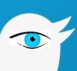 Twitter测试新隐私保护功能：支持主动删除粉丝
